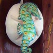 seahorse gourd